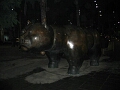 barcelone_samedi076.jpg