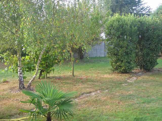 le jardin est sympa, pas mal de verdure