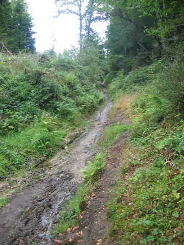 côté vtt, ça se complique: il va falloir monter ça... à part les premiers mètres, ce sera à pied