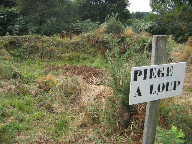 voilà le piège à loup indiqué sur le plan.. piège à con ?