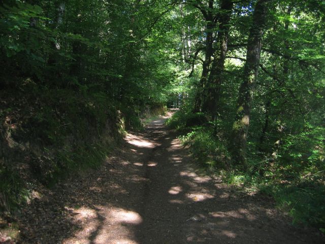 le chemin est trs roulant, on longe la rivire d'argent en fait
