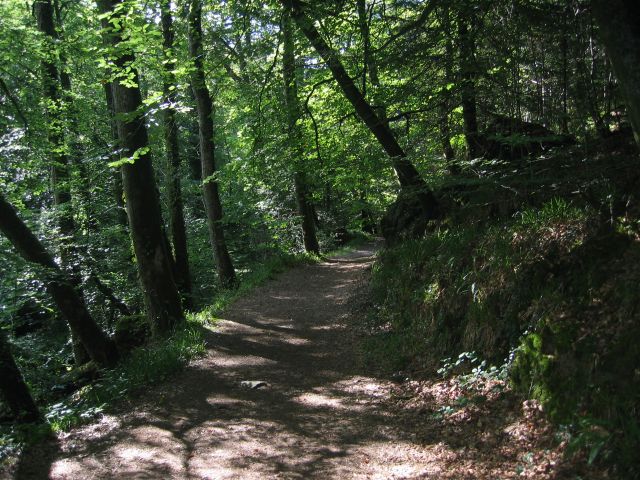 c'est toujours aussi beau, entre l'ombre et la lumire