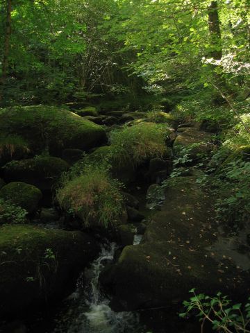 la rivire et les rochers, vraiment incontournables