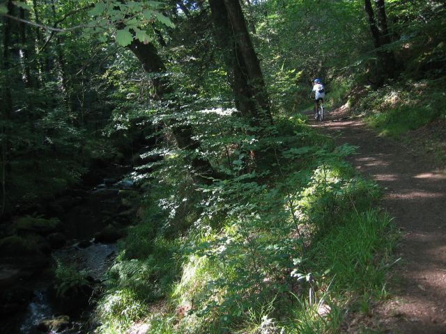 le chemin suit la rivire de prs maintenant