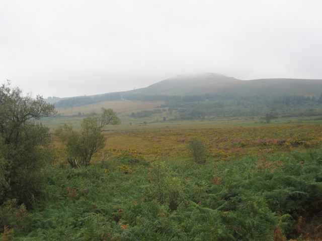 et la montagne Mt-Michel, la tte dans les nuages