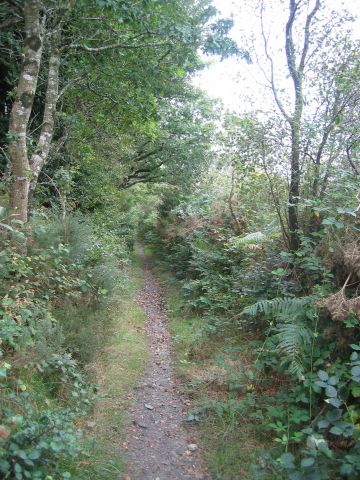 on continue, sur des chemins roulants