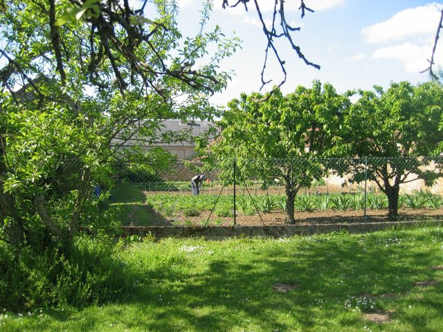 le voisin, lui, cultive son jardin potager