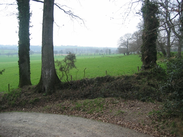 la campagne bretonne est belle !