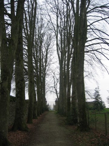 belle allée longeant le mur du château