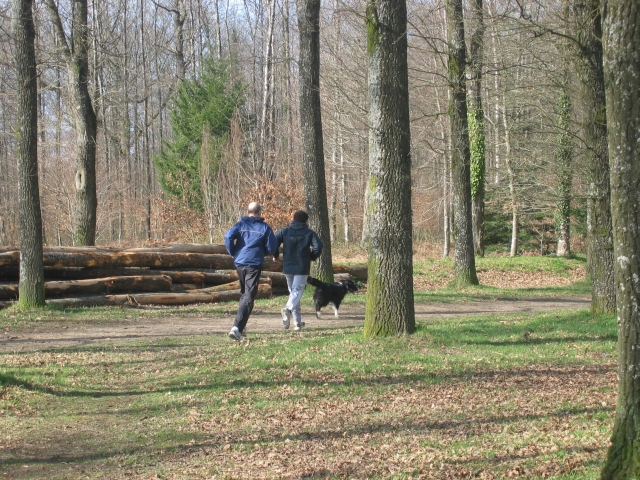 et c'est parti, toujours au bois des Rochers... Vénus prend les devants !