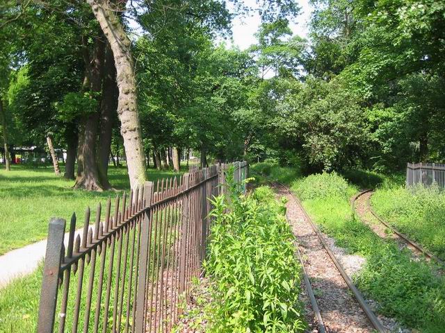 Le petit train du jardin d'acclimation vient de passer... on l'a loup de peu !