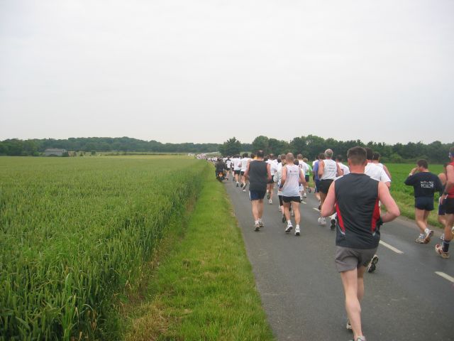 le long des champs de blé..