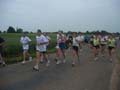 pegasus_31
