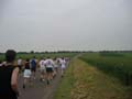 pegasus_33