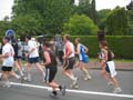 pegasus_36