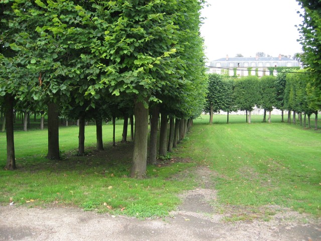 arrive au Parc de St-Cloud.. ce n'est plus le bois de Boulogne !