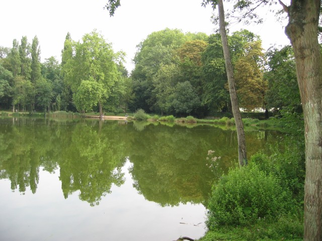 un petit tang,  la lisire du parc