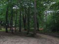 lagrange_05