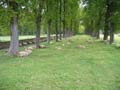 lagrange_15