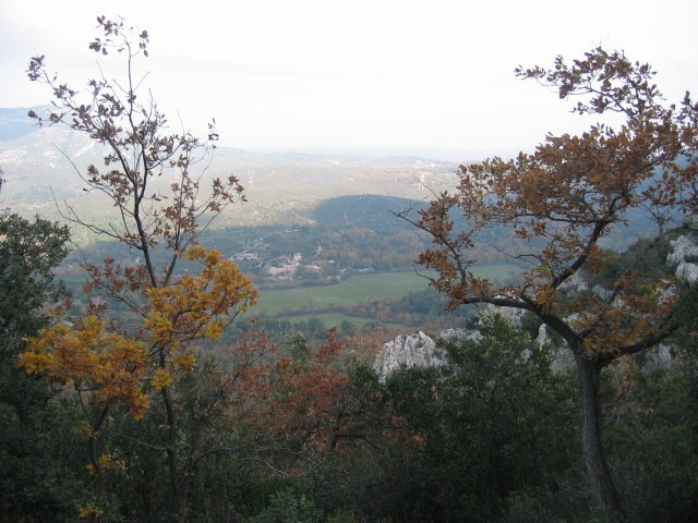 vue sur la plaine