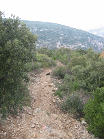 j'en profite pour aller voir la descente ( pied)