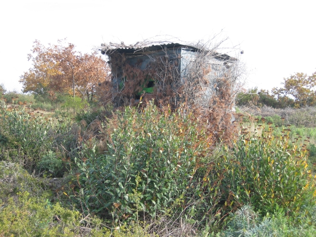 il y a des chasseurs qui se cachent l-dedans (pas aujourd'hui mais...)