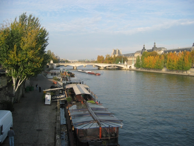 le pont du Carrousel au fond