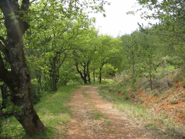 un vrai chemin, bien roulant..