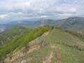 reine-jeanne_60
