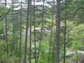 reine-jeanne_75