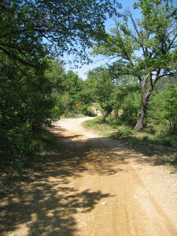 on retrouve de chemins plus faciles, en légère descente... le bonheur !